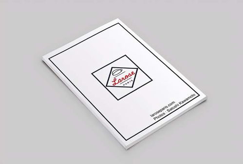 圖文之間 畫冊版式設(shè)計(jì)的藝術(shù)欣賞與制作要義